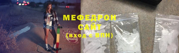 индика Богородицк