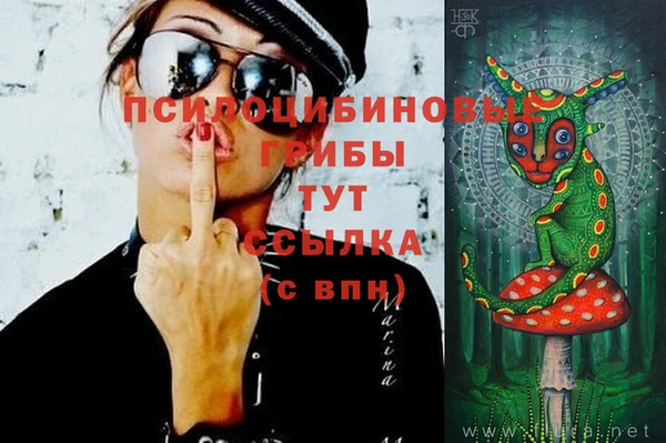 индика Богородицк