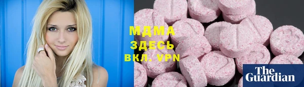 индика Богородицк