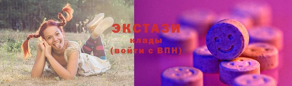 индика Богородицк