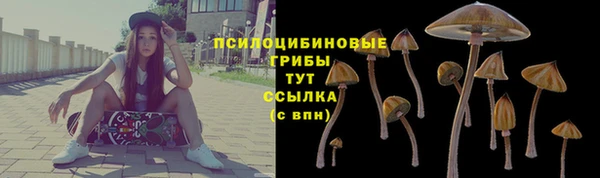 ALPHA-PVP Богородск