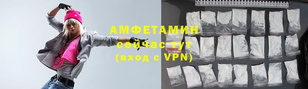 индика Богородицк