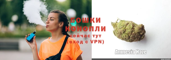 индика Богородицк