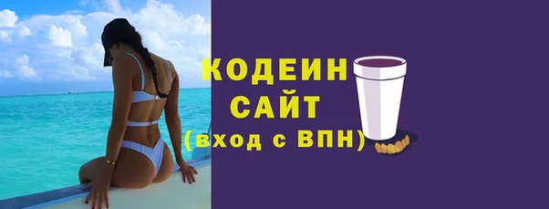 индика Богородицк