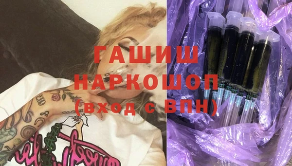 индика Богородицк