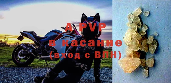 индика Богородицк