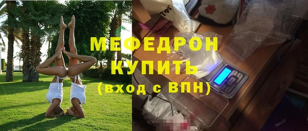 индика Богородицк