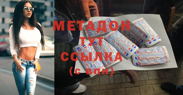 индика Богородицк