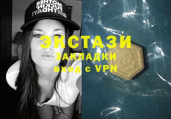индика Богородицк