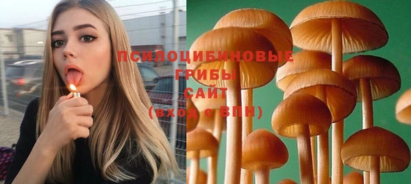 индика Богородицк