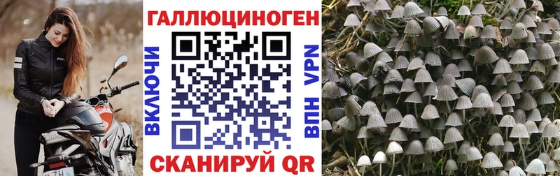Псилоцибиновые грибы мицелий  ссылка на мегу   Пенза 